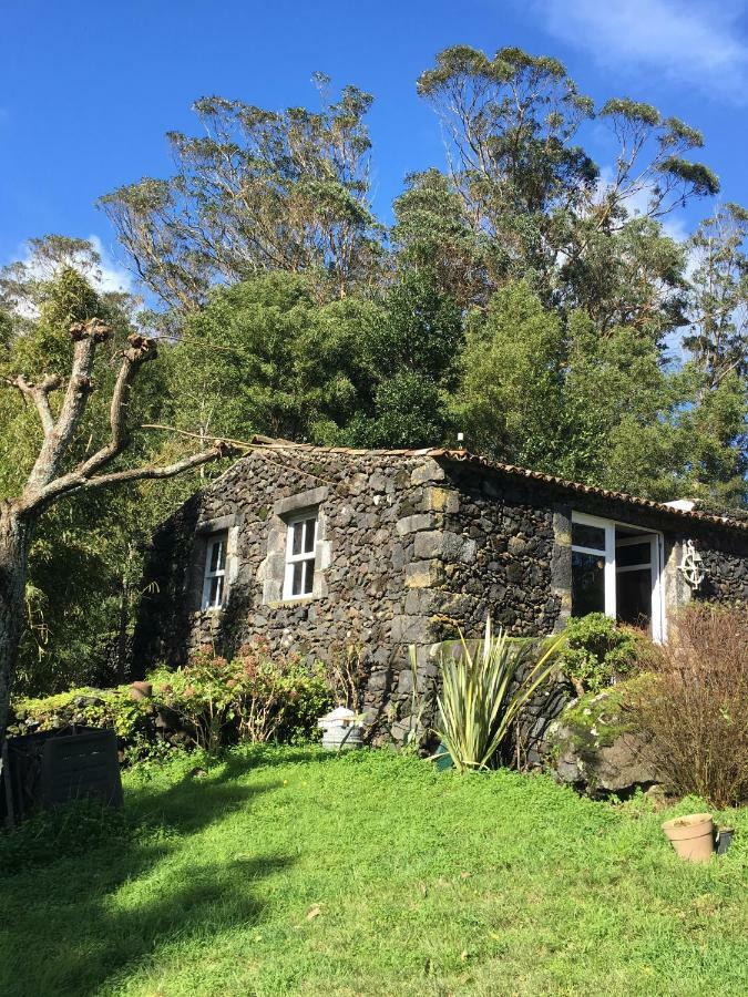 Pink House Azores ポンタ・デルガダ エクステリア 写真