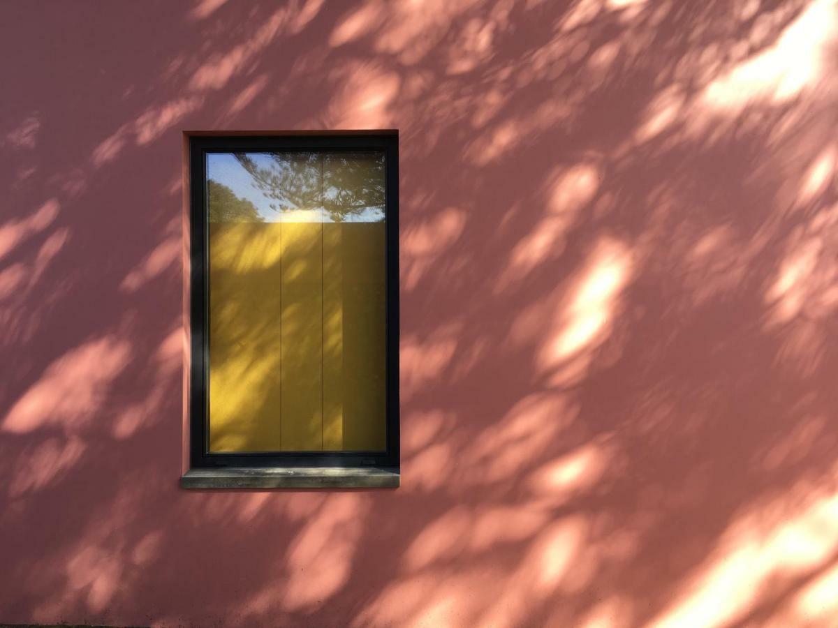 Pink House Azores ポンタ・デルガダ エクステリア 写真