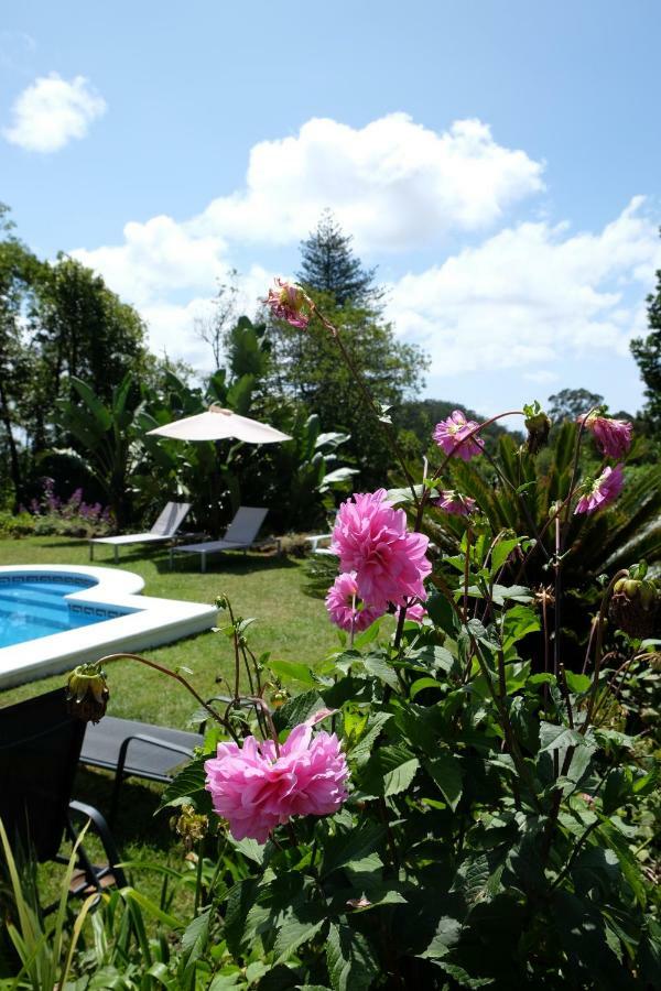 Pink House Azores ポンタ・デルガダ エクステリア 写真
