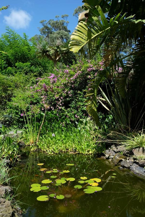 Pink House Azores ポンタ・デルガダ エクステリア 写真