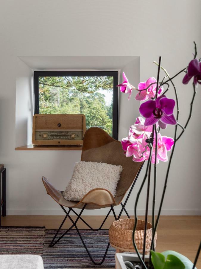 Pink House Azores ポンタ・デルガダ エクステリア 写真